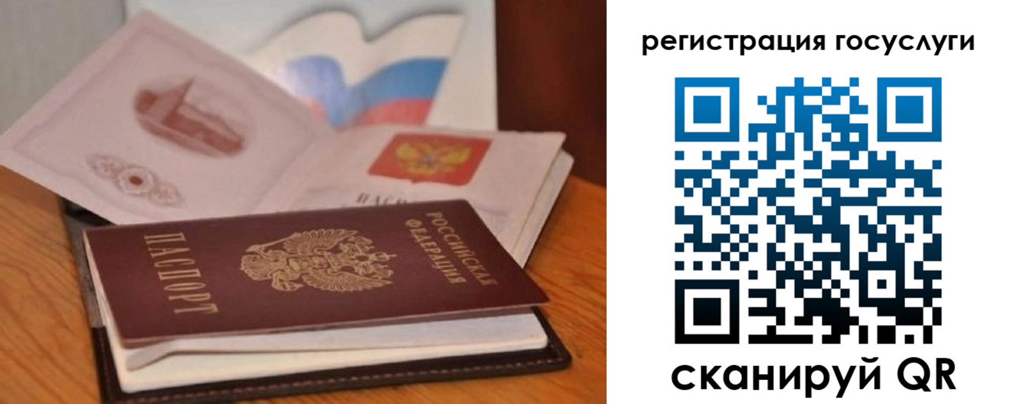 прописка законно в Фокино